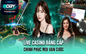 Đẳng cấp casino 8day